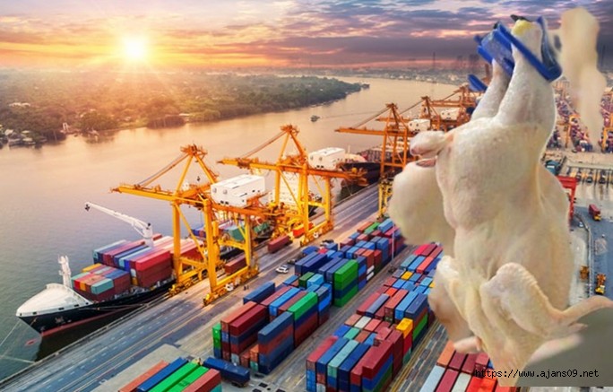 AB, artan ticaret hacmi ve küresel belirsizliklerle karşı gümrük reformunu onayladı