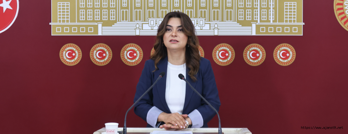 DEM Parti’den iktidara ‘Öcalan’ çağrısı: