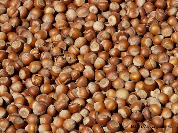Fındık Alım Fiyatı Belli Oldu