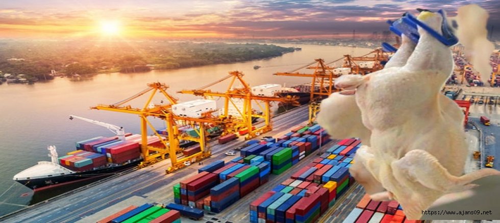 Dış Ticaret Açığı Yüzde 14 Artarak 7,4 Milyar Dolara Yükseldi