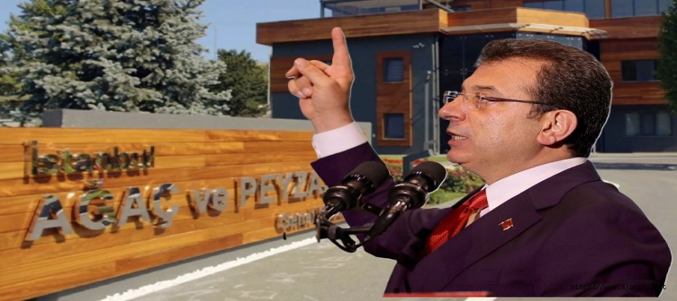 İBB’ye bağlı Ağaç A.Ş. soruşturmasında 20 kişi için tutuklama talebi