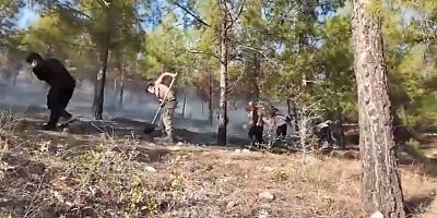 Adıyamandaki Orman Yangınına Asker Müdahalesi