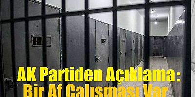 AK Parti Diyarbakır Milletvekili Galip Ensarioğlu, eski Kalkınma Bakanı Müslüm Doğan'ın iddiasını kısmen doğruladı: 