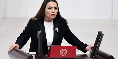 Ayyüce Türkeş İYİ Parti Adana adayı oldu