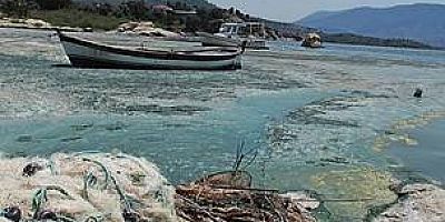 Bafa Gölü Kirlilik ve Kuraklık SOS veriyor