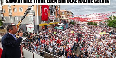 Buğday Tarımı Yapılan Alan 3 Milyon Hektar Azaldı