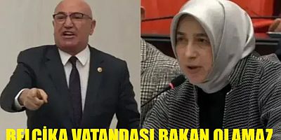 CHP’li Tanal, Aile Bakan'ına “Belçika vatandaşı” dedi, kıyamet koptu