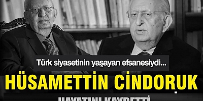 CİNDORUK HAYATINI KAYBETTİ