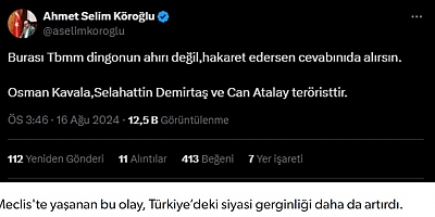 Cumhurbaşkanı Başdanışmanı'ndan Kürsü Saldırısına Destek