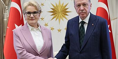 Cumhurbaşkanı Erdoğan, İYİ Parti eski Genel Başkanı Akşener'i kabul etti