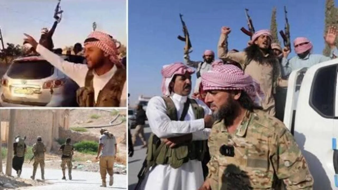 Deyrizor Terör Örgütünden Temizlendi.. 