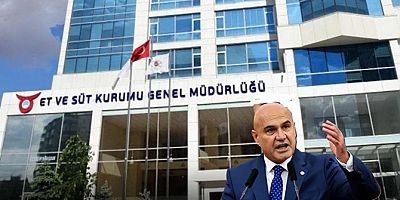 Et Balık Kurumunu Soyan Genel Müdürün Skandalı Belgelendi