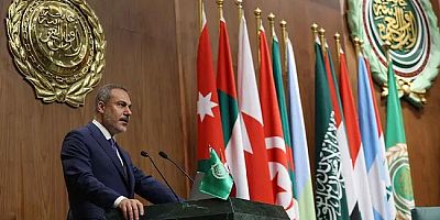 Fidan Arap Birliği'nde konuştu