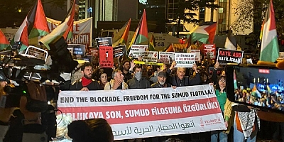 Filistin Eylem Komitesi: Türkiye İsrail'i kınamakla yetiniyor