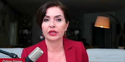 Gazeteci Özlem Gürses'e Gazetecilikten Hapis Cezası