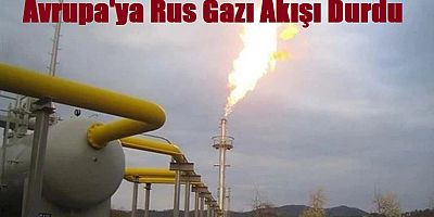 Rus gazı kesidi