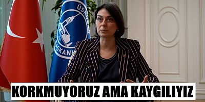 Gözaltı endişesi taşımayan yok, korkmuyoruz ama kaygılıyız