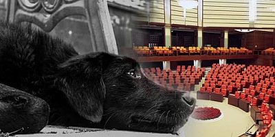 Hiçbir belediyeden görüş alınmadı, tasarıyı bu haliyle doğru bulmuyoruz