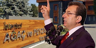 İBB’ye bağlı Ağaç A.Ş. soruşturmasında 20 kişi için tutuklama talebi
