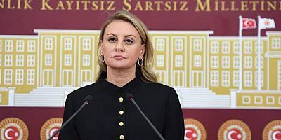 KADINLARA VE ÇOCUKLARA KARŞI ARTAN ŞİDDET OLAYLARINDA HÜKÜMET ÜÇ MAYMUNU OYNUYOR