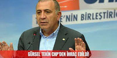 Kayyum Atanan Gürsel Tekin Chp'den İhraç Edidi