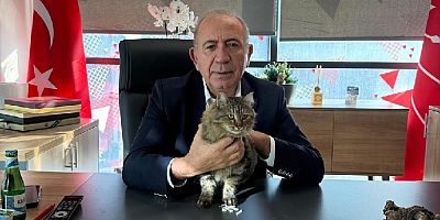 Kayyum  Gürsel Tekin'in Kayyumluğuna Devam Kararı verildi