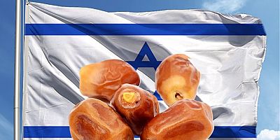 Küresel hurma ticaretinin %75 İsrailden