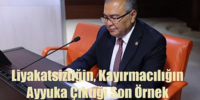 Liyakatsizlik ve kayırmacılık ayyuka çıktı