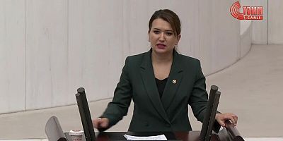 MEHMET UÇUM, HİÇBİR ANAYASAL YETKİSİ OLMADIĞI HALDE YARGIYA TALİMAT VERMEKTEDİR