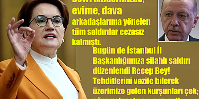 Meral Akşener'den Erdoğan'a: Üzerimize gelen kurşunları çek eğer geleceksen sen gel