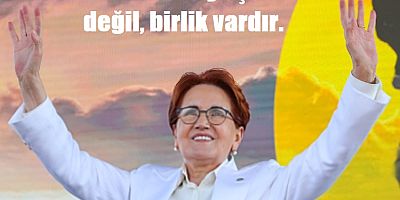 Meral Akşenerden Merih Demiral'a tam Destek