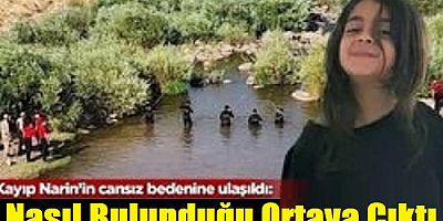 Narin'in nasıl bulunduğu ortaya çıktı