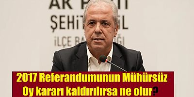 Şamir Tayyar Kanun Dışı Kabul Edilen Mühürsüz Oyları Gündeme Taşıdı