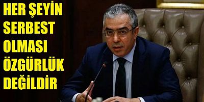 Saray'ın başdanışmanı Mehmet Uçum:Yeni Anayasa Artık kaçınılamaz bir gerekliliktir