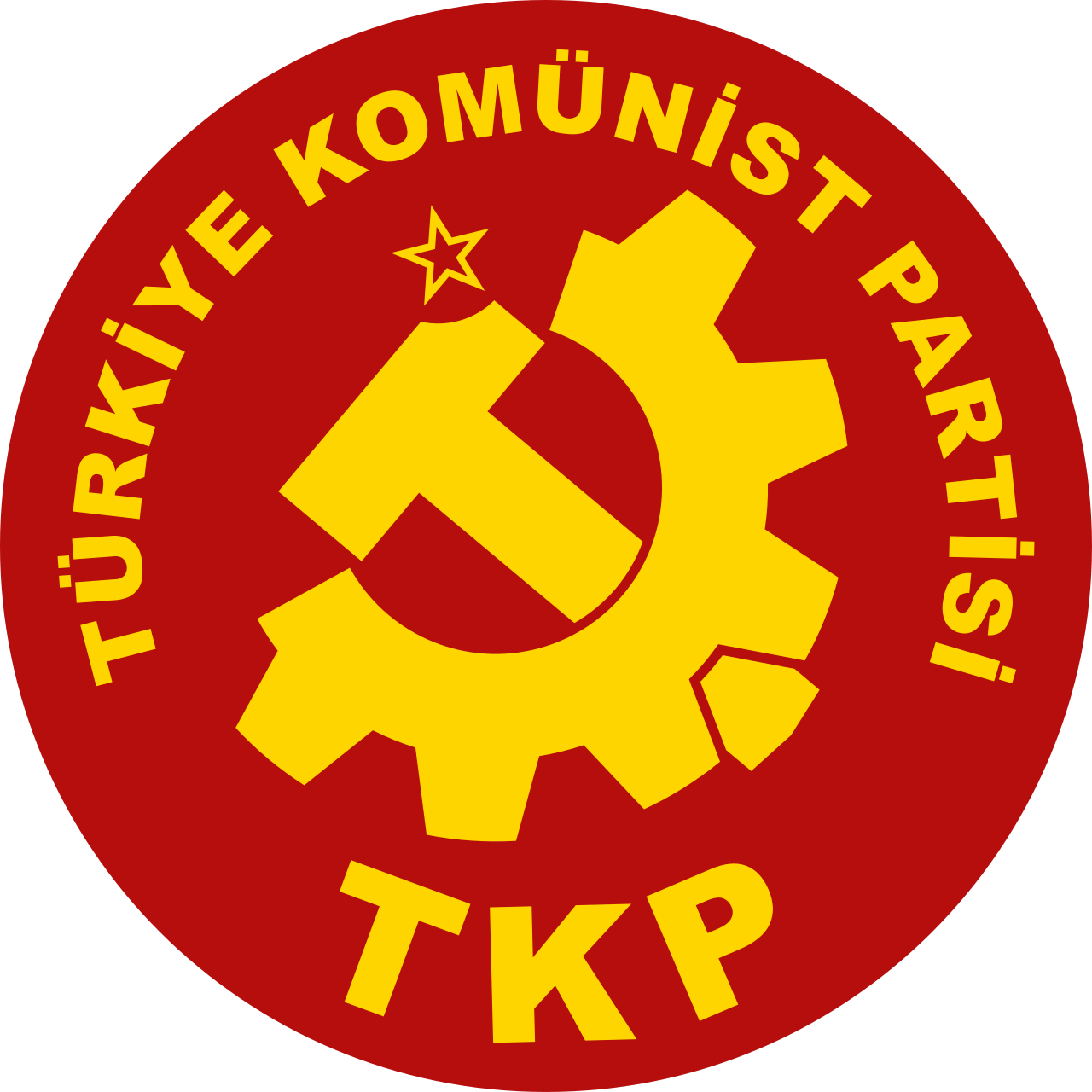 TKP; 'Türkiye sıcak çatışmalarda resmen taraf olmuştur'