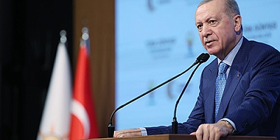 Türk devletleriyle dış ticaretimizi, uzun vadede 100 milyar dolara çıkarmayı hedefliyoruz