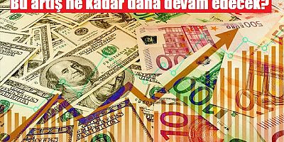 Türk Lirası dolar karşısında erimeye devam ediyor! 