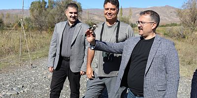 Türkiye'deki kuşların yüzde 75'i Iğdır'da bulunuyor 