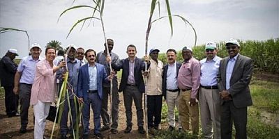 Türkiye'nin Sudan'da tarım yapma macerası bitti