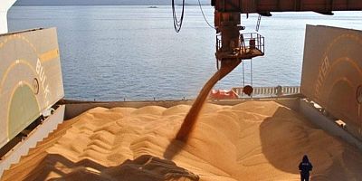 Ukrayna dokuz ayda yaklaşık 35 milyon ton tahıl ihraç etti