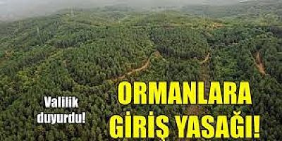 Yangın Mevsimiyle, Ormanlara Giriş Yasağı başladı