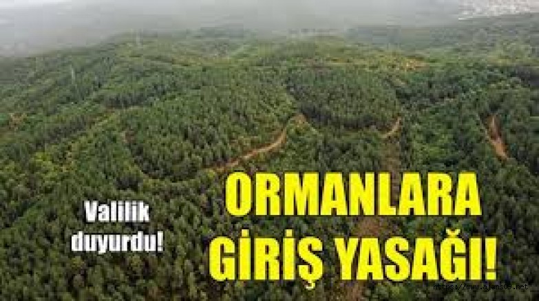 Yangın Mevsimiyle, Ormanlara Giriş Yasağı başladı