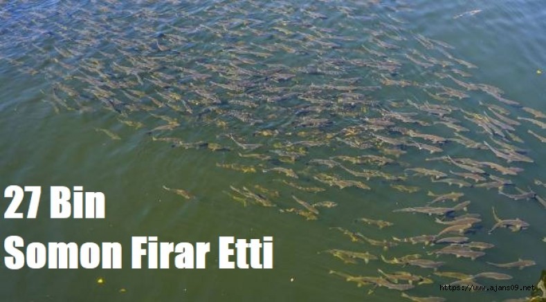 27 bin somon firarda