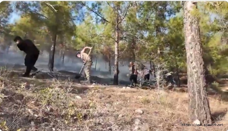 Adıyamandaki Orman Yangınına Asker Müdahalesi