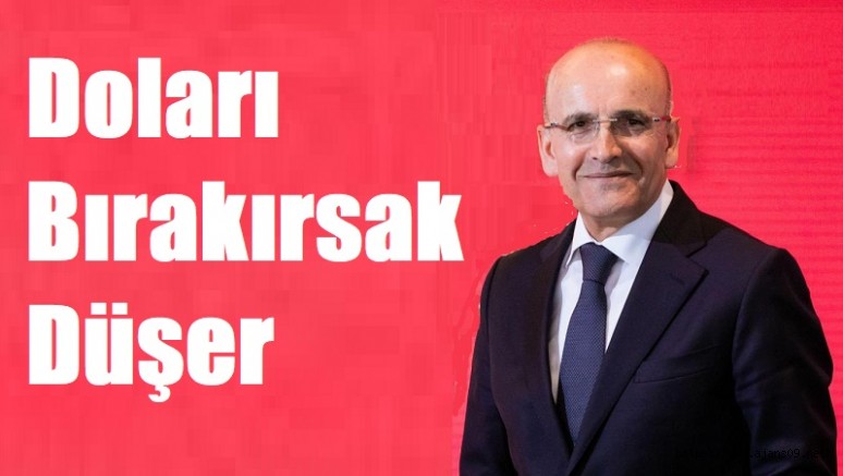 Bakan Şimşek cevapladı: Doları Bırakırsak Düşer!