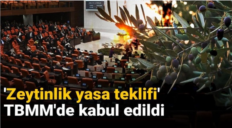 Madencilerin İstediği Oldu, 'Zeytinlik yasa teklifi' TBMM'de kabul edildi