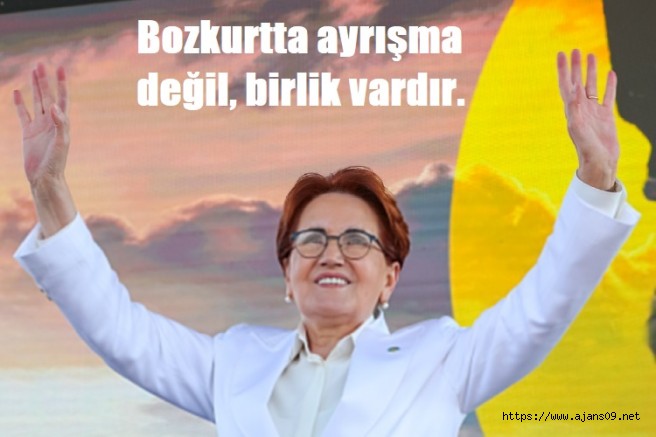 Meral Akşenerden Merih Demiral'a tam Destek